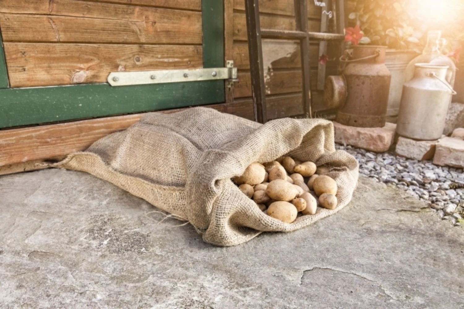 Windhager Jute-Sack Natur, 80x60cm 3 Windhager Jute-Sack Natur, 80x60cm