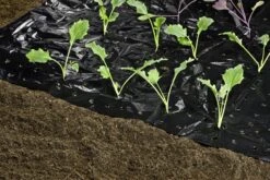 Windhager Mulch-Folie