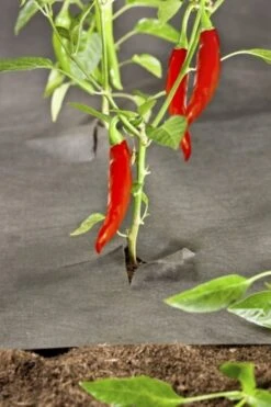 Windhager Öko Unkrautvlies