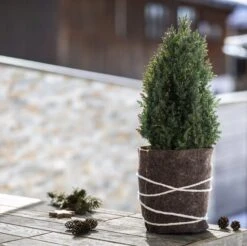 Windhager Schafwoll-Filzmatte Medium, 0,6 X 1,2 M -Deutschland Samen Kraft Verkaufs-Shop windhager schafwoll filzmatte medium 1043920 de