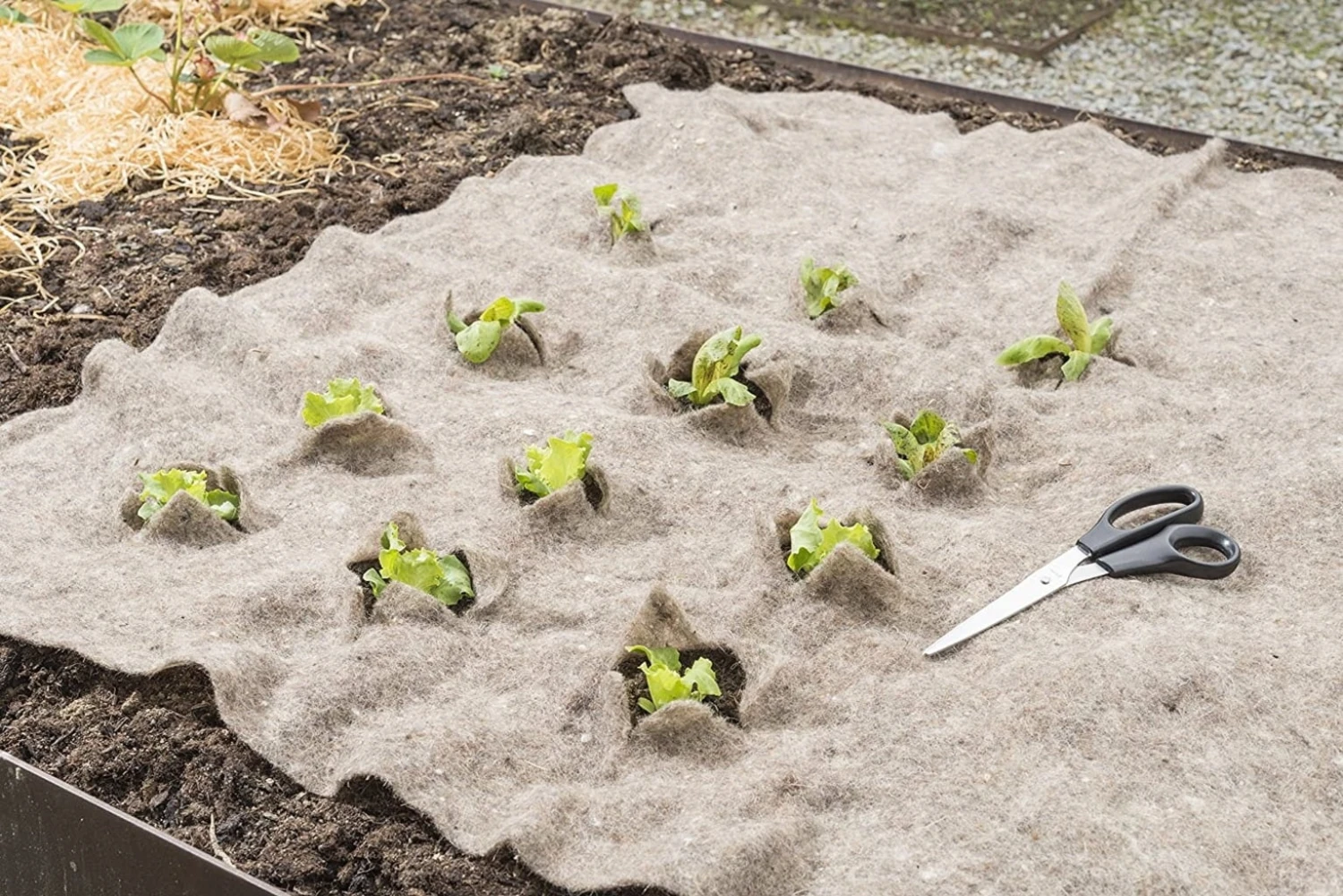 Windhager Schafwoll-Unkrautmatte 4 Windhager Schafwoll-Unkrautmatte – Bild 2