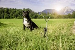 Windhager Spiralhering -Deutschland Samen Kraft Verkaufs-Shop windhager spiralhering 1 stk 763707 de