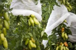 Windhager Tomaten-Vliesschlauch Supergrow -Deutschland Samen Kraft Verkaufs-Shop windhager tomaten vliesschlauch supergrow 1 st 1670517 de