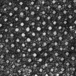 Windhager Unkraut Vlies -Deutschland Samen Kraft Verkaufs-Shop windhager unkraut vlies 1 st 1670539 de