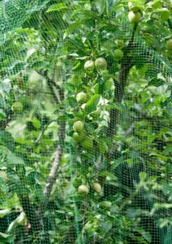 Windhager Vogelschutz-Netz RATIONAL, 8x8m -Deutschland Samen Kraft Verkaufs-Shop windhager vogelschutz netz rational 1660333 de