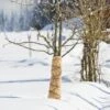 Windhager Winter-Vlies SUPERPROTECT - 3x1,5m -Deutschland Samen Kraft Verkaufs-Shop windhager winter vlies superprotect 3x15m 1 st 1667829 de