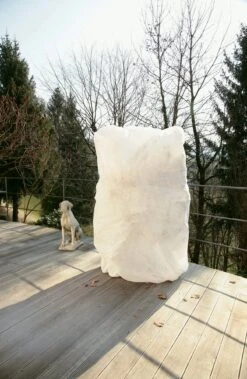 Windhager Winter-Vlieshaube Protect XXL 13 Windhager Winter-Vlieshaube Protect XXL -Deutschland Samen Kraft Verkaufs-Shop windhager winter vlieshaube protect xxl 1 stk 762397 de