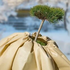 Windhager Winter Vliesmantel "Superprotect XXL" -Deutschland Samen Kraft Verkaufs-Shop windhager winter vliesmantel superprotect xxl 1 stk 1273644 de