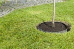 Windhager Wurzelsperr-Vlies -Deutschland Samen Kraft Verkaufs-Shop windhager wurzelsperr vlies 1 stk 761937 de