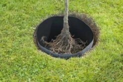 Windhager Wurzelsperr-Vlies -Deutschland Samen Kraft Verkaufs-Shop windhager wurzelsperr vlies 1 stk 761957 de